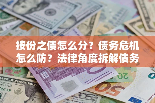 武汉按份之债怎么分？债务危机怎么防？法律角度拆解债务分配与风险自保指南