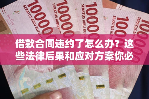 武汉借款合同违约了怎么办？这些法律后果和应对方案你必须知道