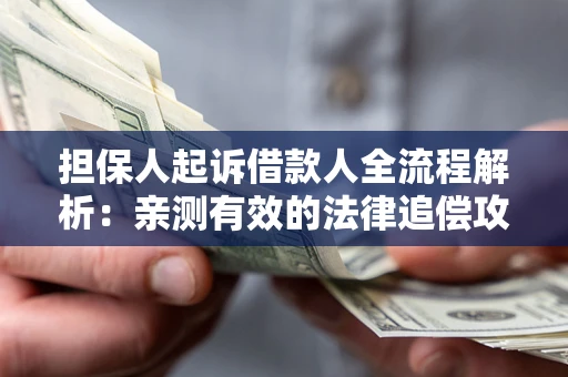 武汉担保人起诉借款人全流程解析：亲测有效的法律追偿攻略