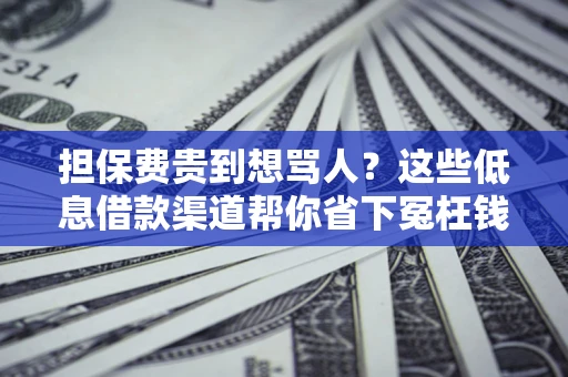 武汉担保费贵到想骂人？这些低息借款渠道帮你省下冤枉钱