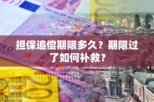 武汉担保追偿期限多久？期限过了如何补救？