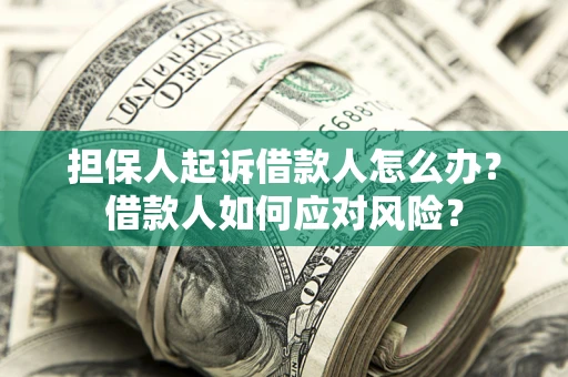 武汉担保人起诉借款人怎么办？借款人如何应对风险？