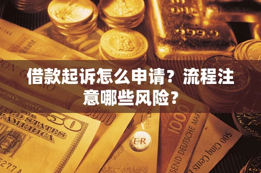 武汉借款起诉怎么申请？流程注意哪些风险？